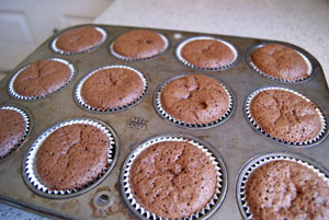 chocolate cupcakes baked