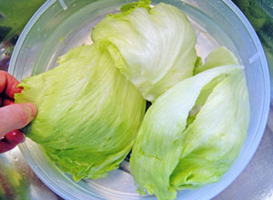 washing salad greens