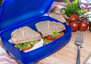 sandwich in a lunch box