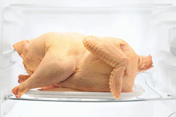 Thawing Turkey