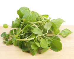 watercress