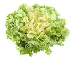 escarole