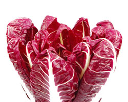 radicchio