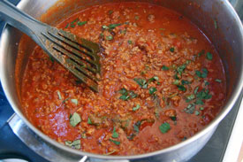 Stirring sauce for ricotta cheese lasagna