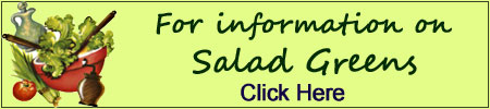 information on salad greens